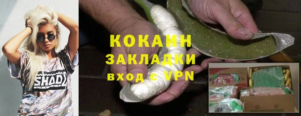 индика Абинск