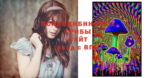 дживик Абаза