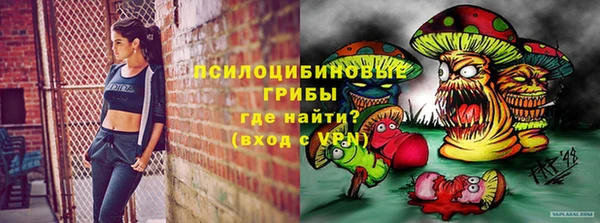 дживик Абаза