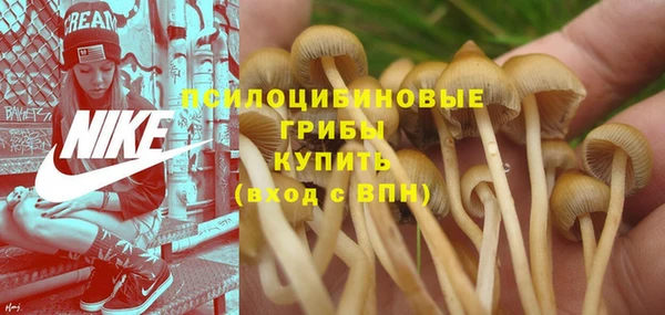 дживик Абаза