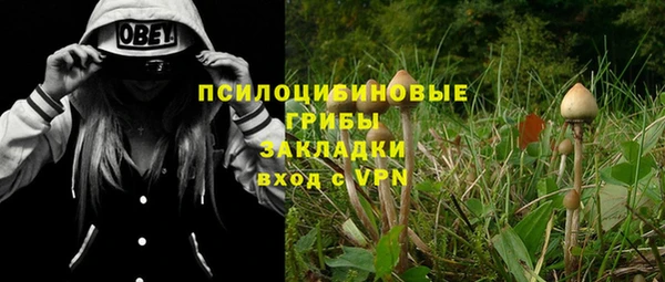 прущий лед Алзамай