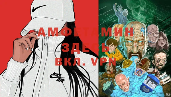 индика Абинск