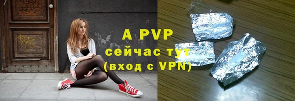 индика Абинск