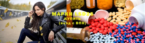 индика Абинск