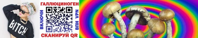 Псилоцибиновые грибы MAGIC MUSHROOMS  купить наркотики цена  MEGA ссылка  Аксай 